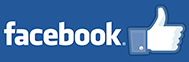 Facebook logo Aedes Ars 