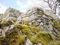 Ruinas Burg Grenchen