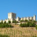 01017-castillo-de-pe&ntilde;afiel-real