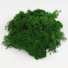 24030-musgo-verde-oscuro-granel