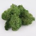 24031-musgo-verde-claro-granel